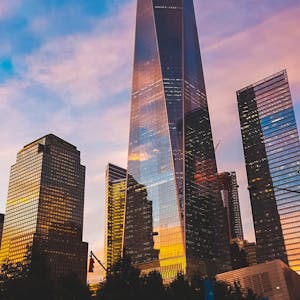 Still Life Photography