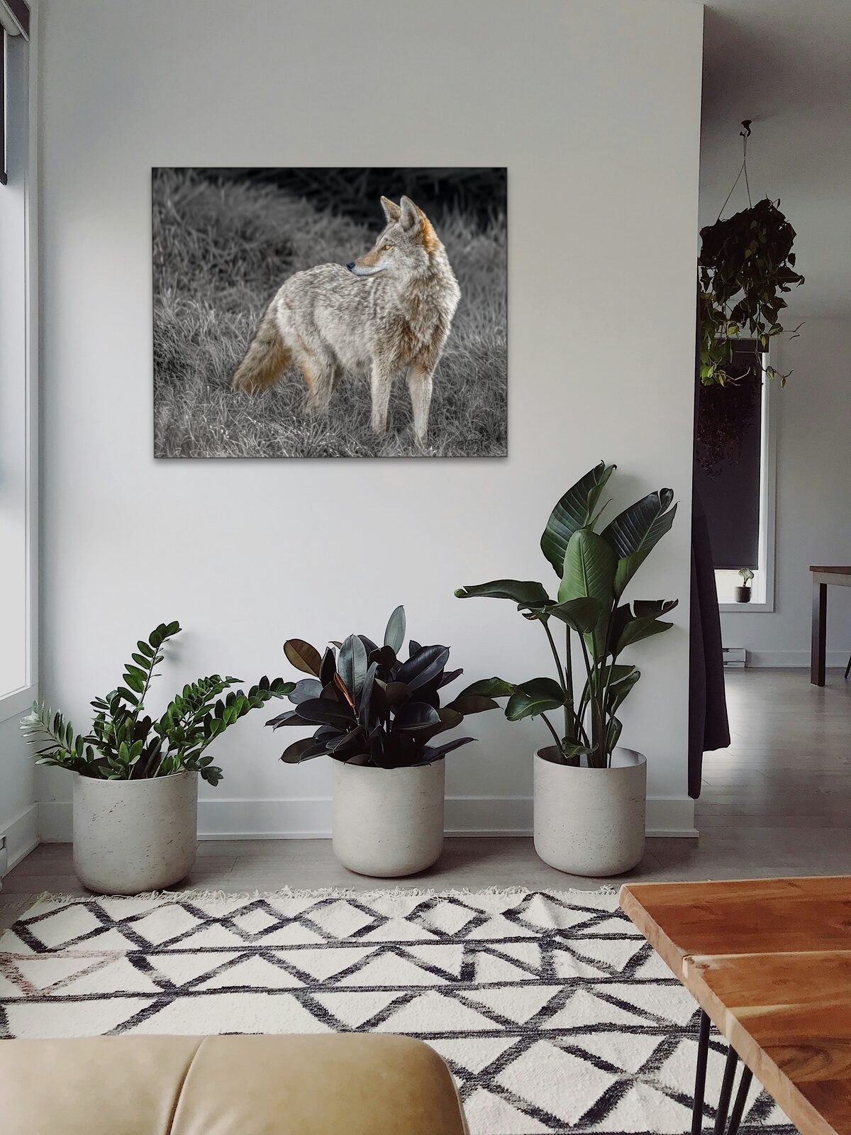 Room mockup