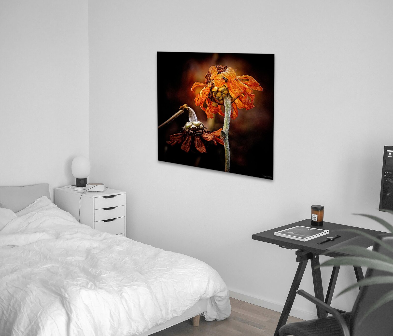 Room mockup