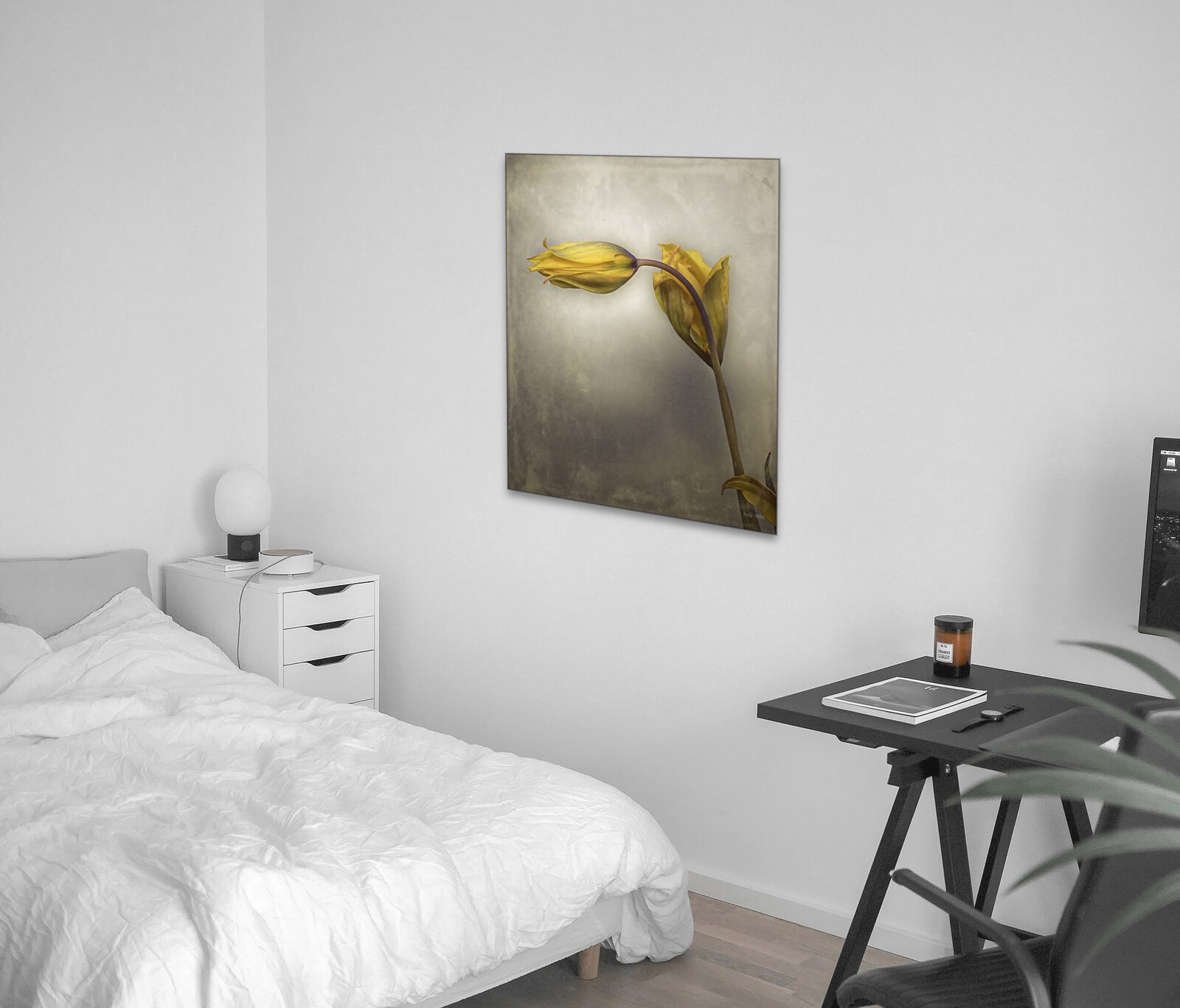 Room mockup