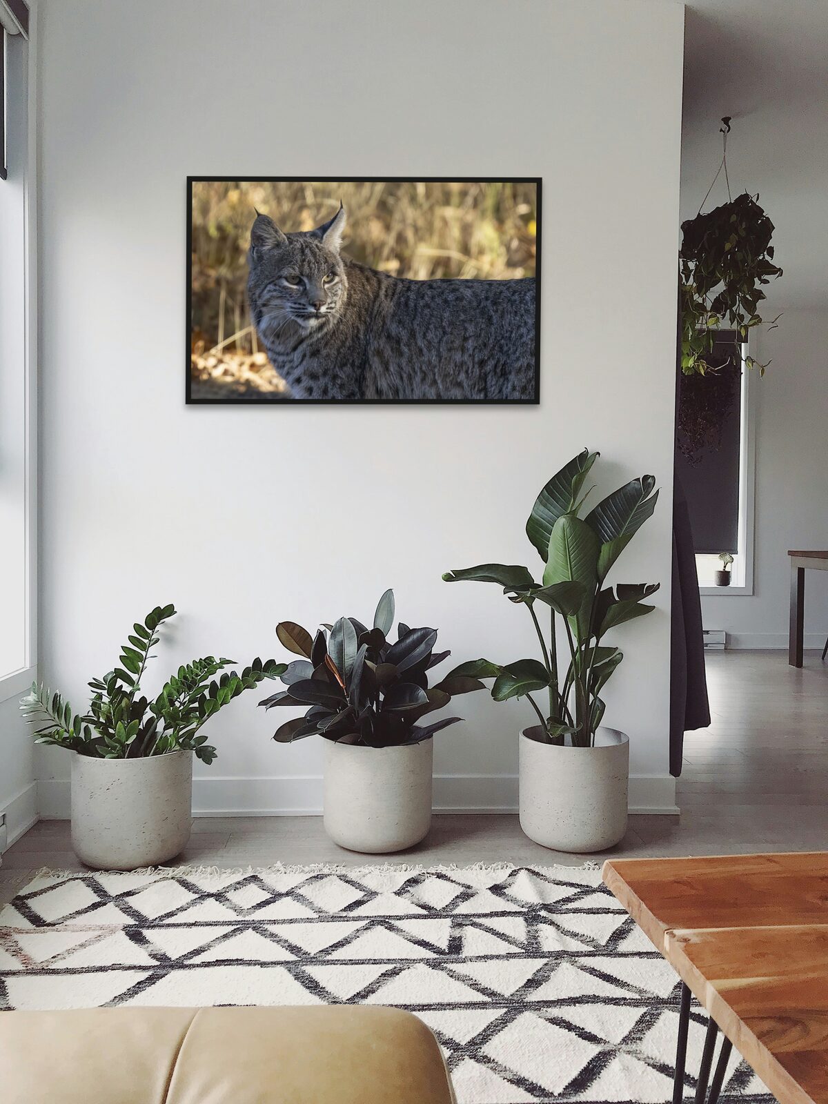 Room mockup