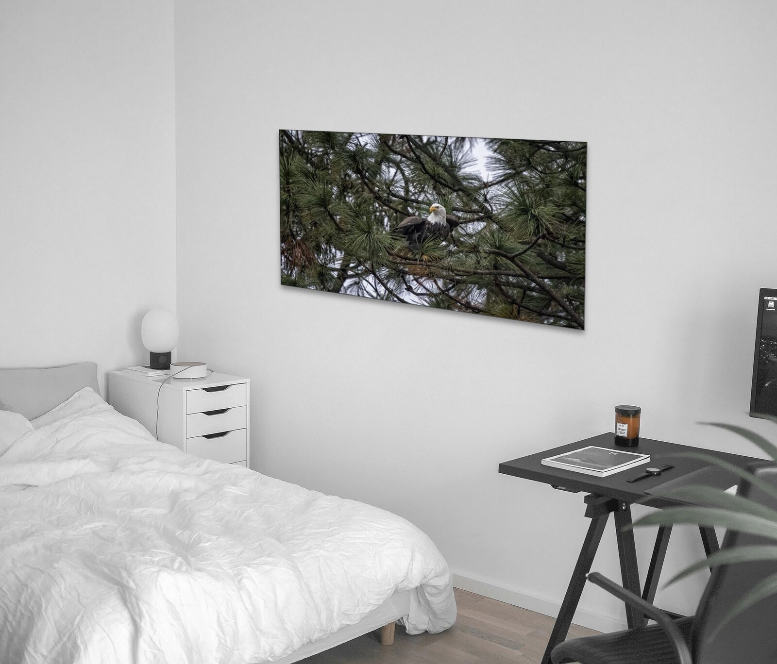 Room mockup