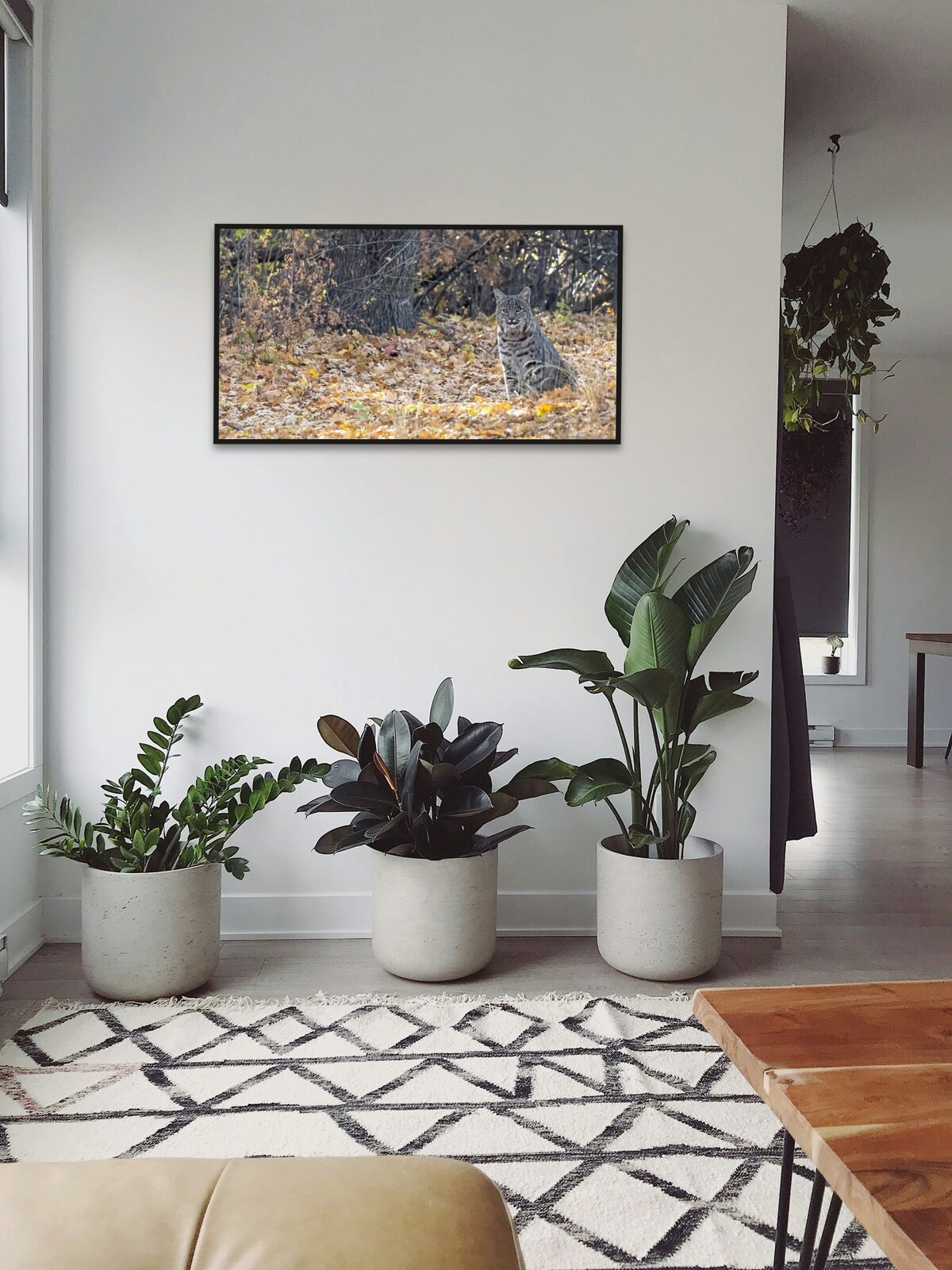 Room mockup