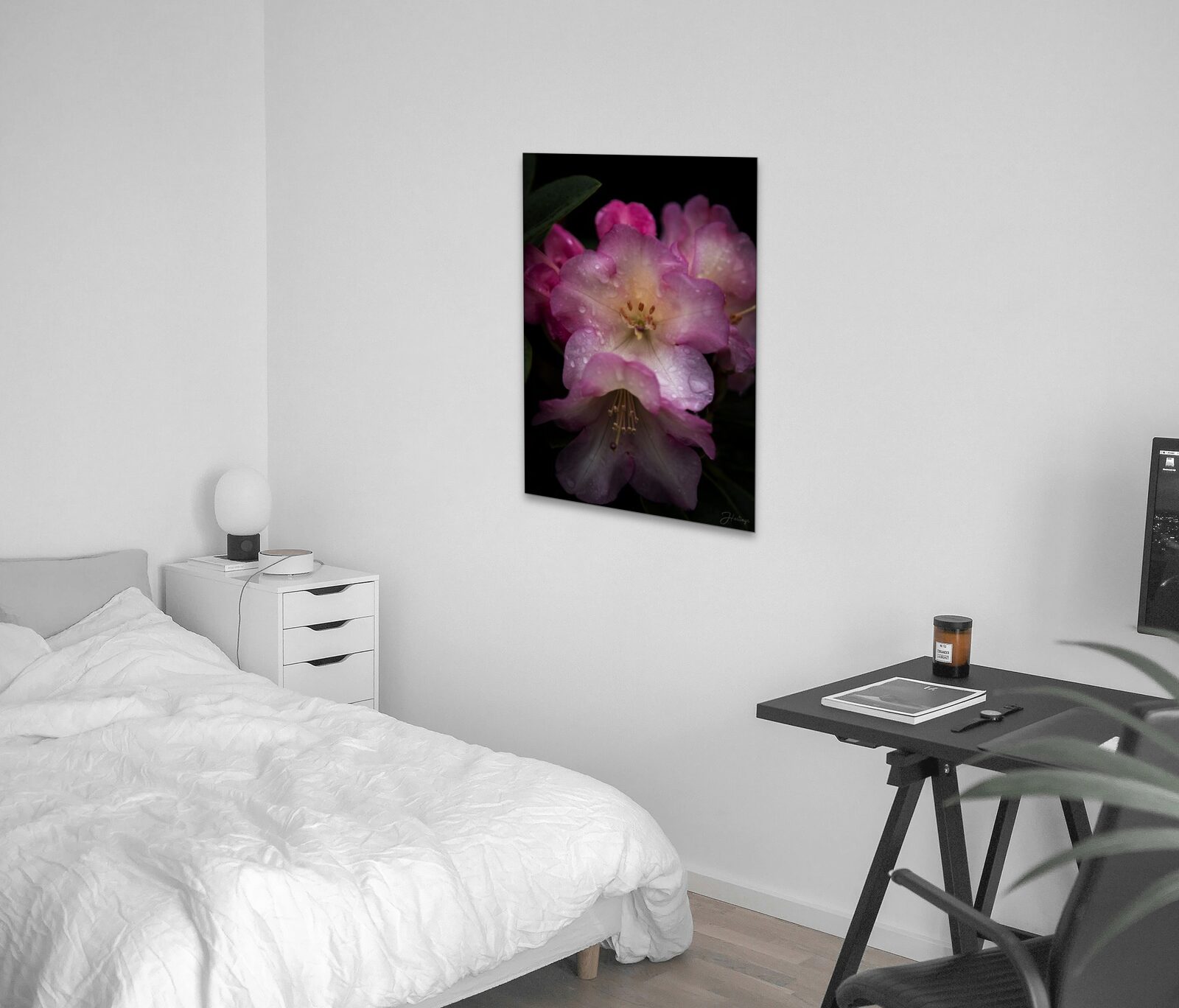 Room mockup