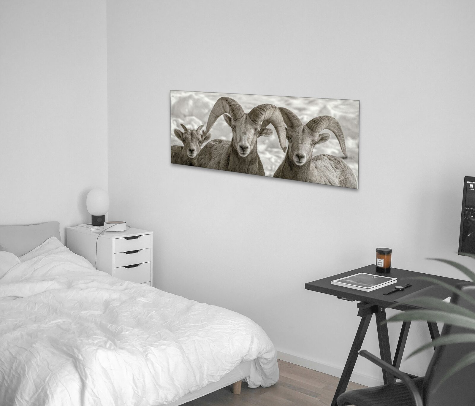 Room mockup