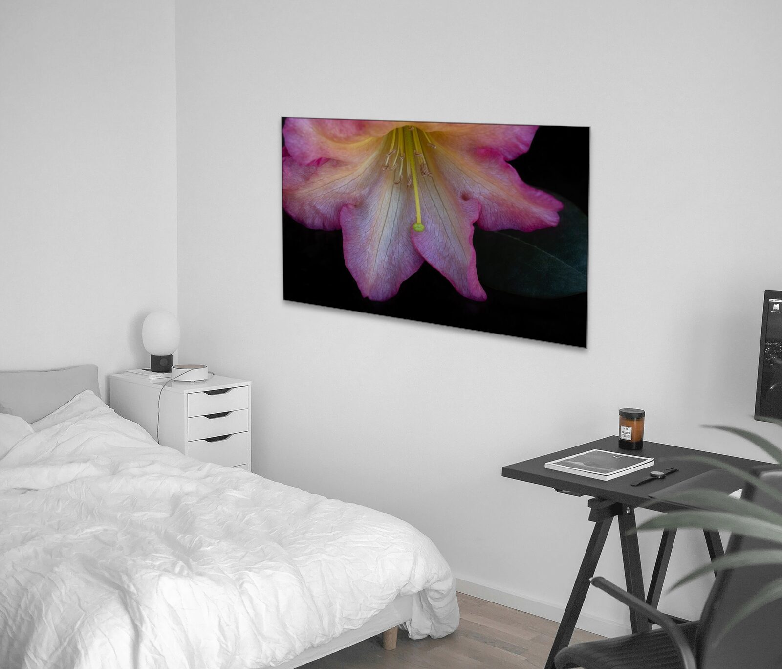 Room mockup