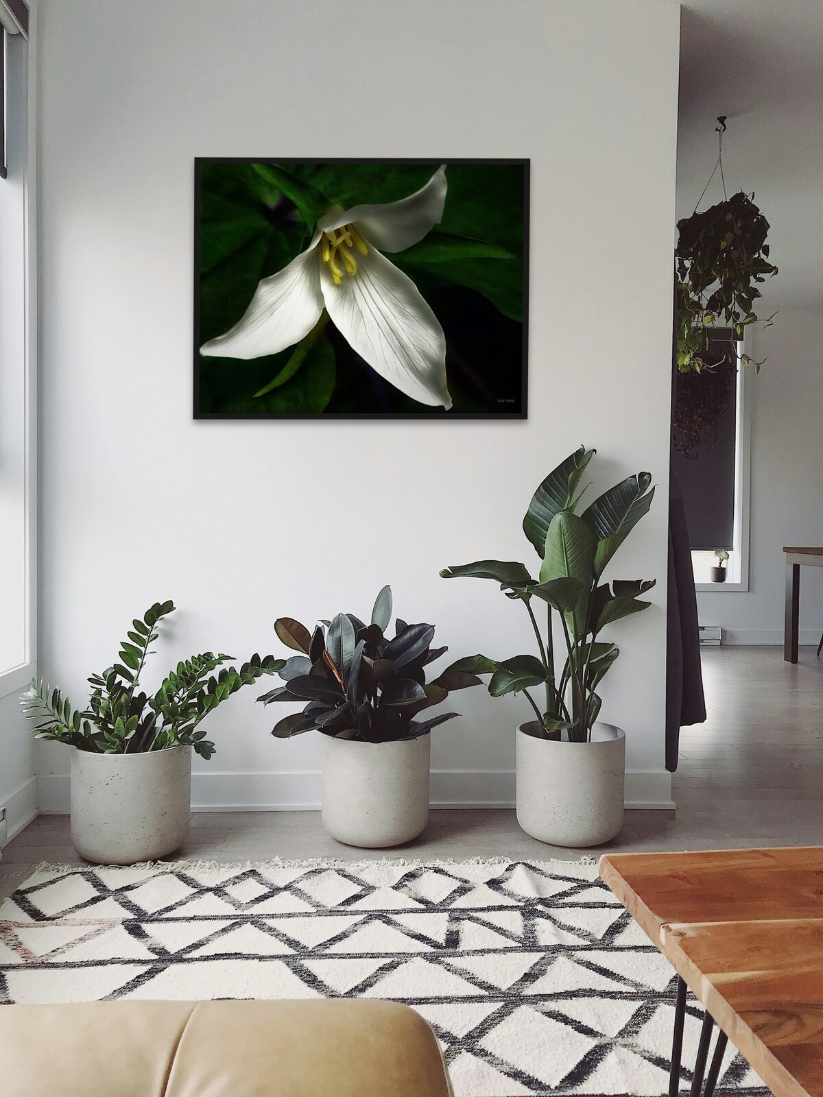 Room mockup