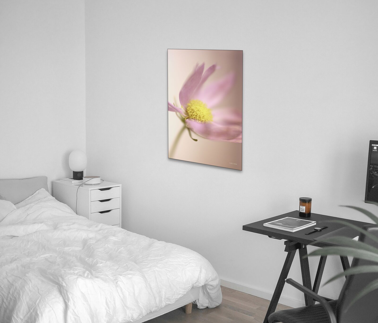 Room mockup