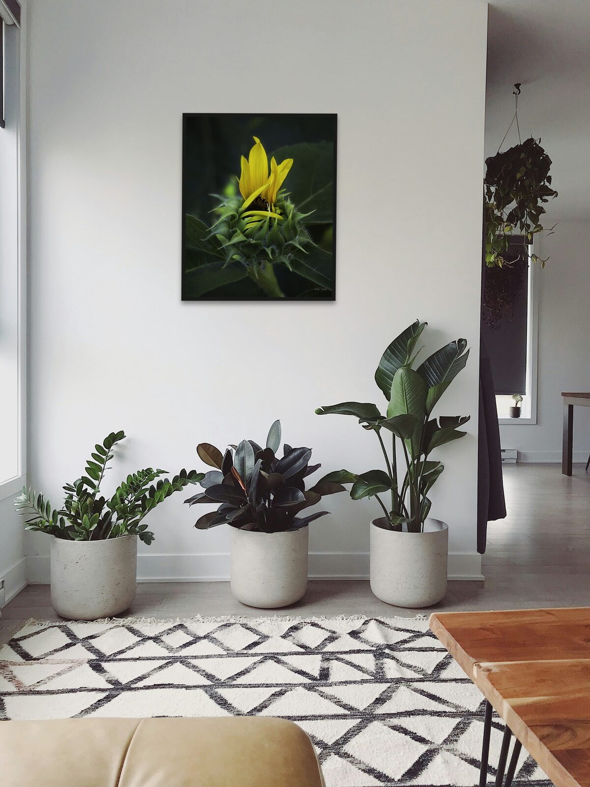 Room mockup