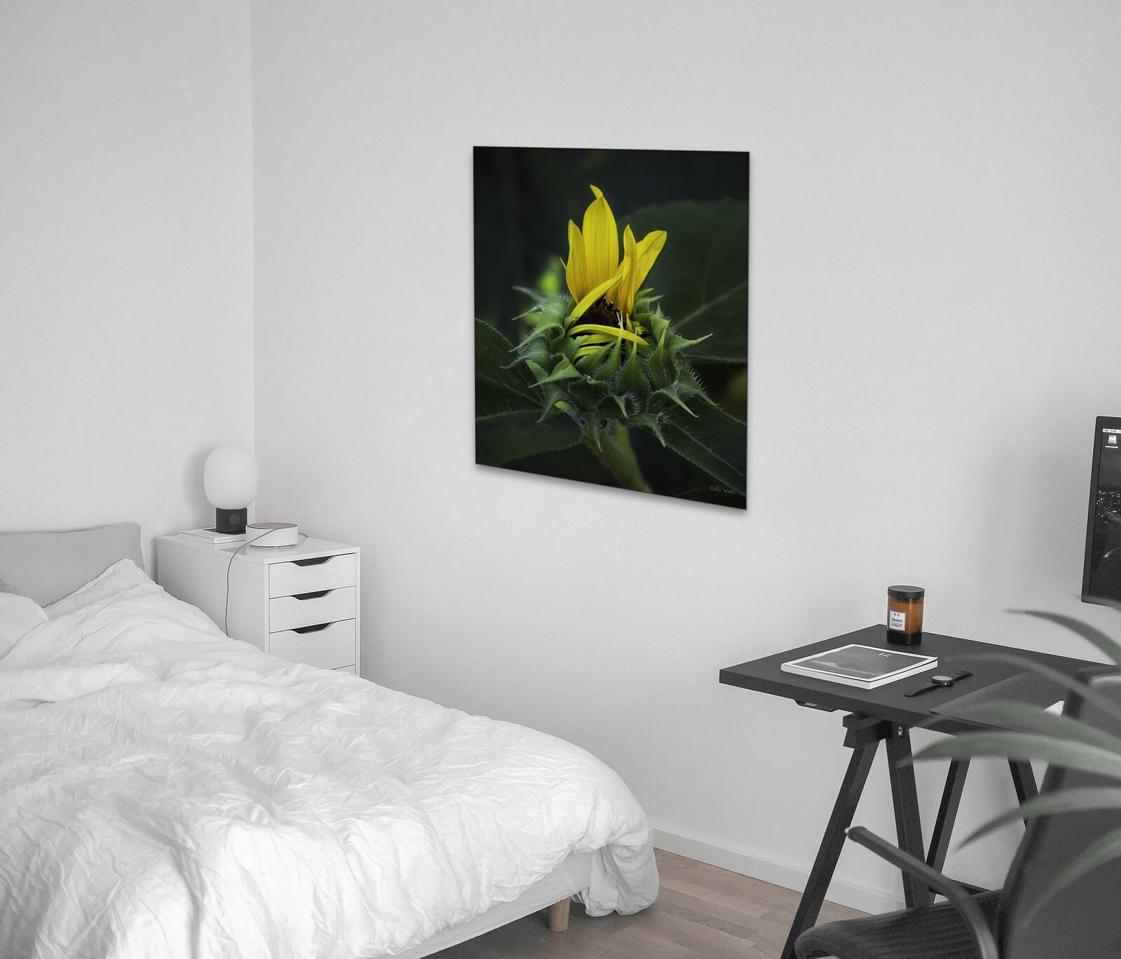Room mockup