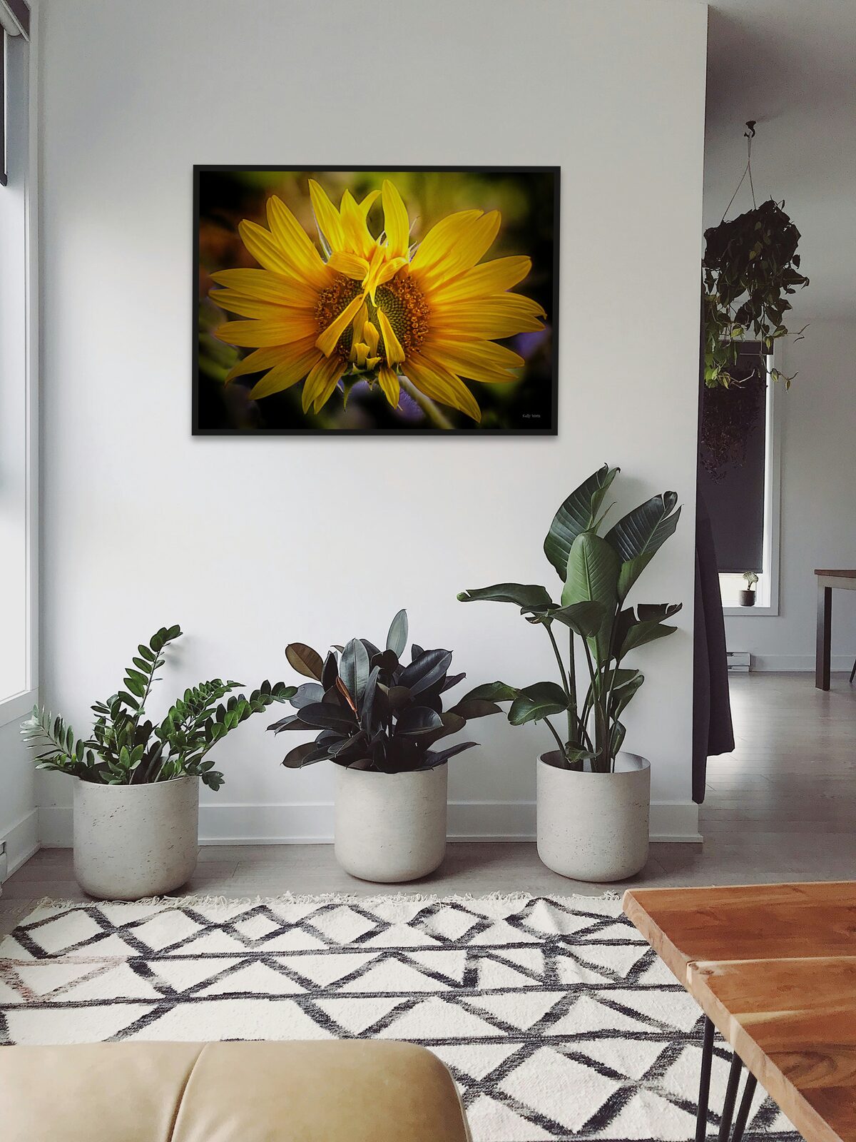 Room mockup
