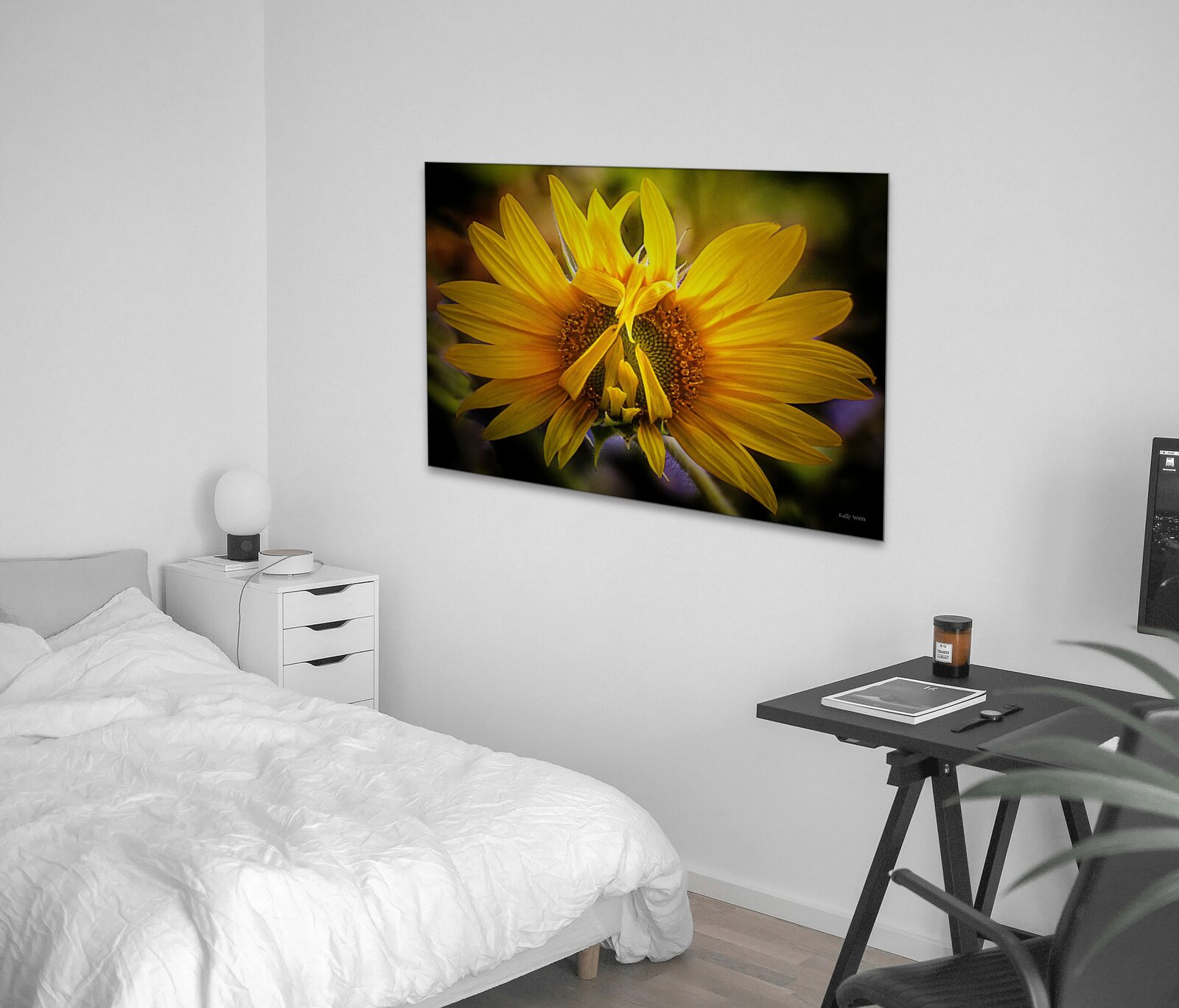 Room mockup