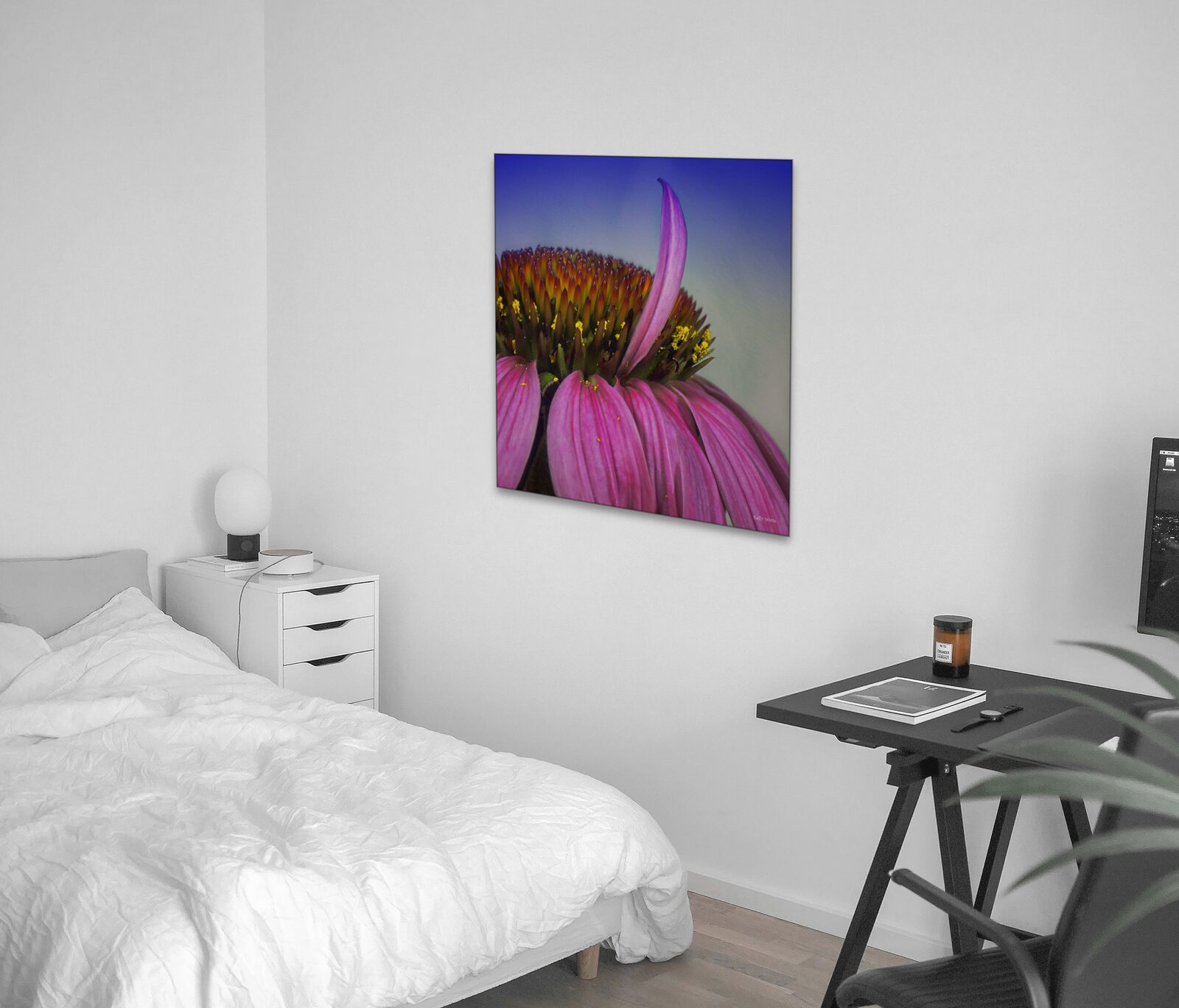 Room mockup
