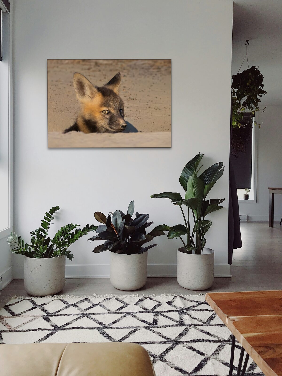 Room mockup