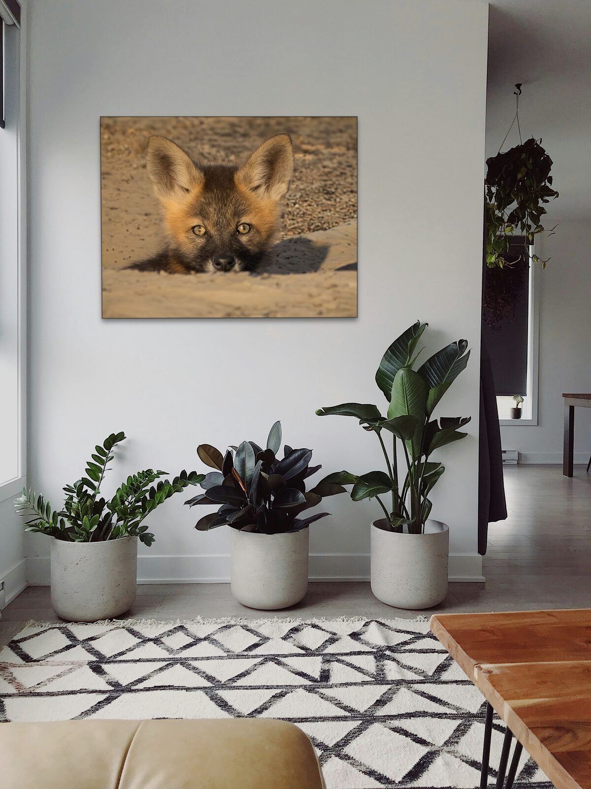 Room mockup