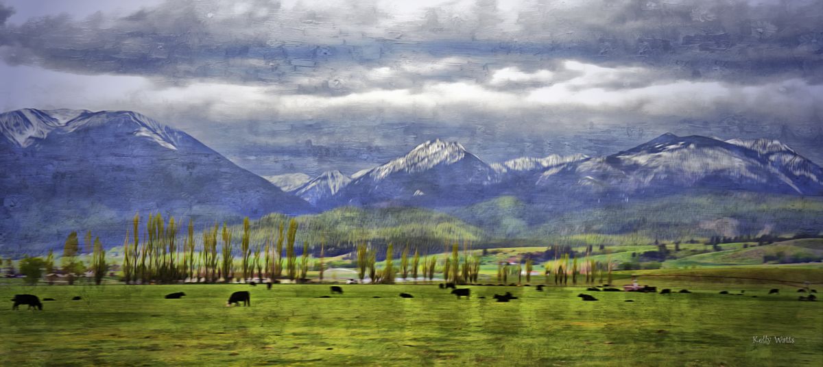 Grazing In The Shadow of The Elkhorns