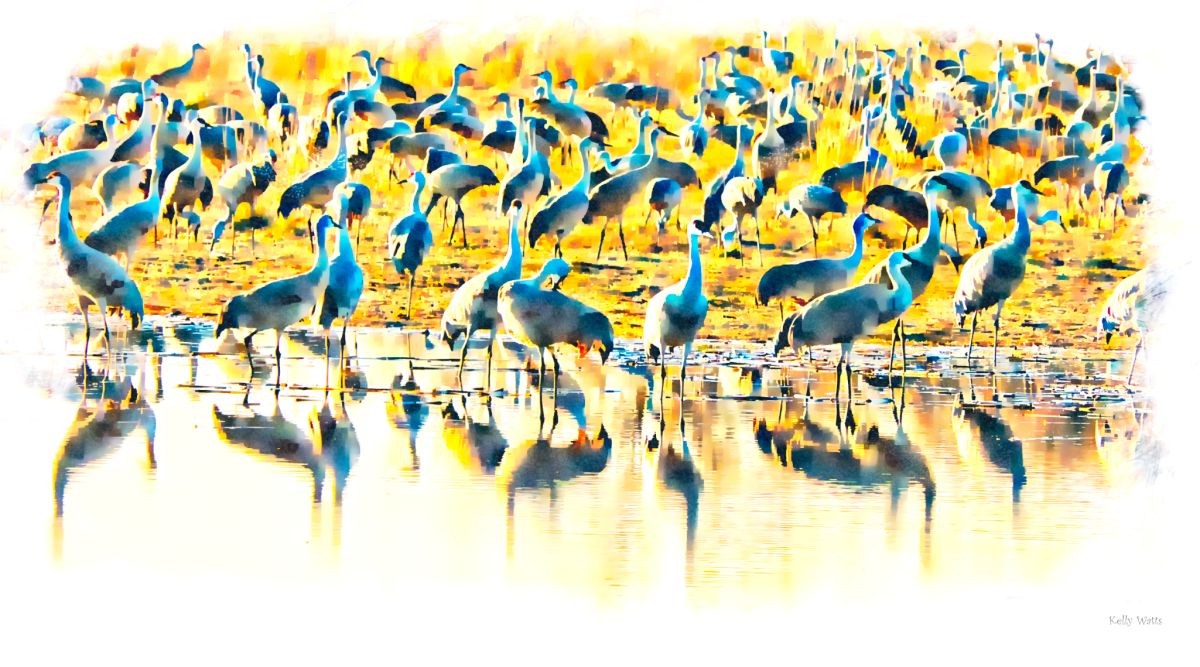 Sand Hill Crane Abstract