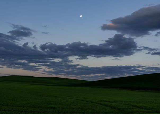Goodnight Moon greeting card
