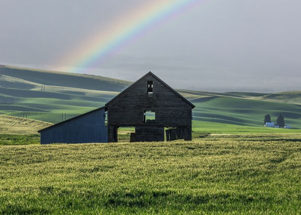 Morning Rain Showers greeting card