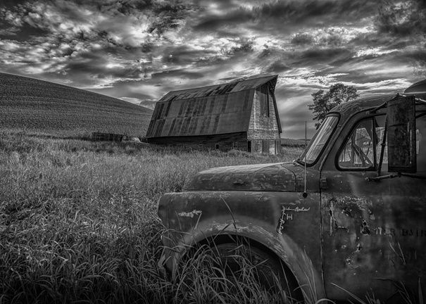 Wandering the Palouse (black/white) greeting card