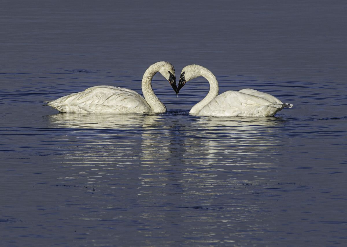 “Love!” greeting card
