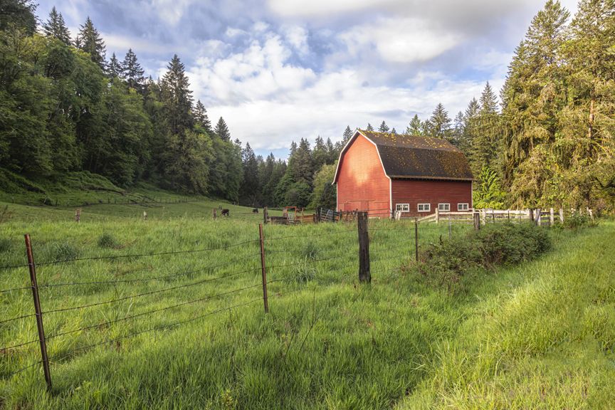 Country Barn