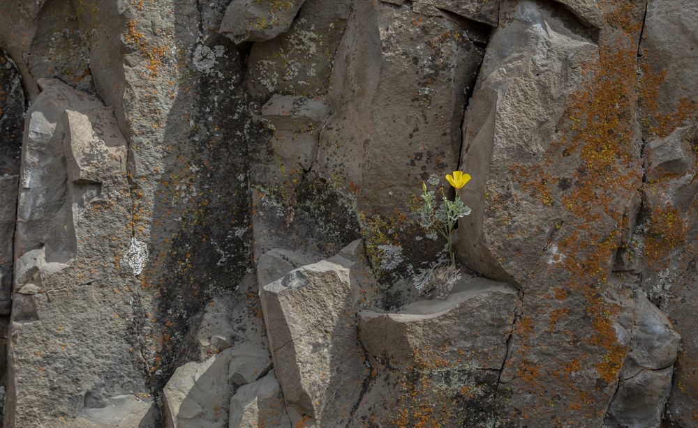 Stuck Between a Rock and a Hard Place