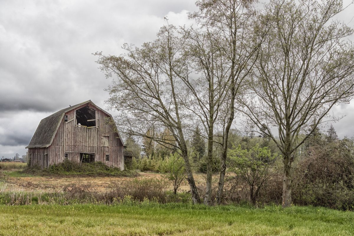 Barn in Skagit Co.