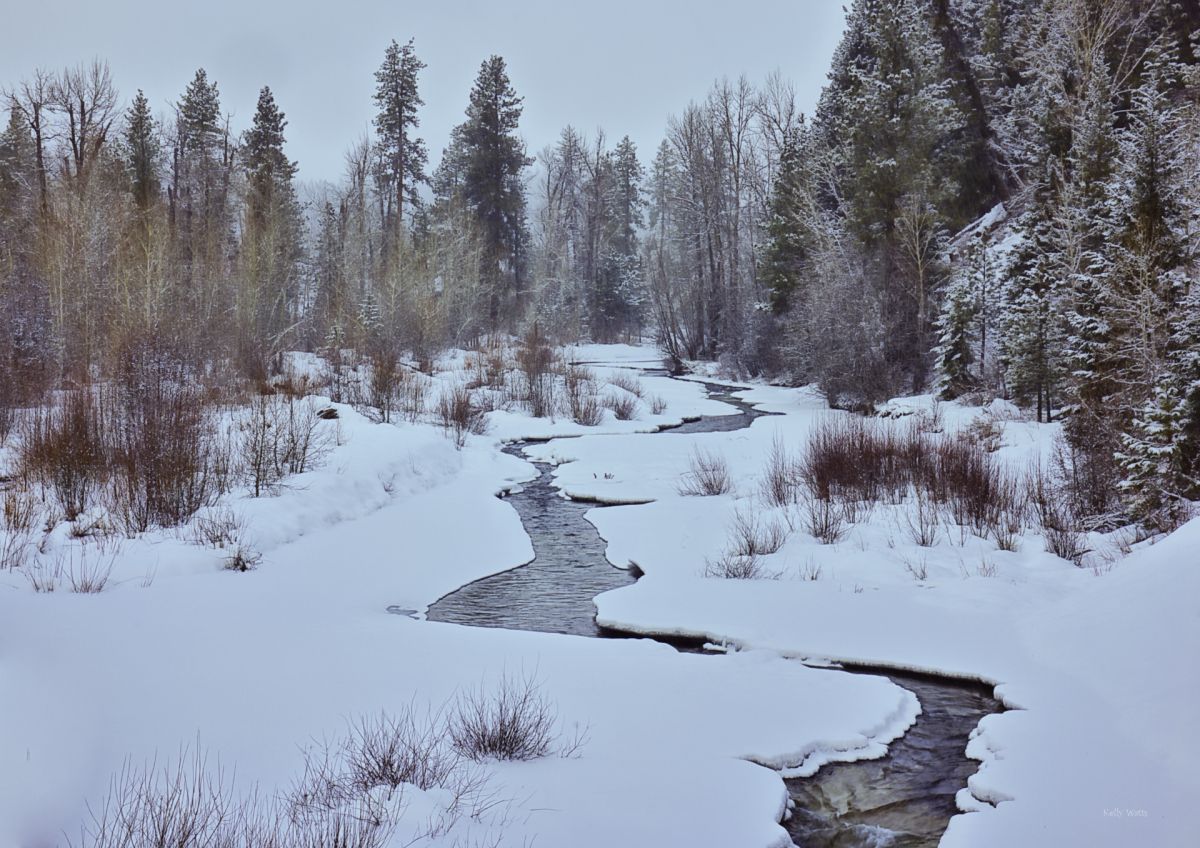 Winter water Finding Its Way