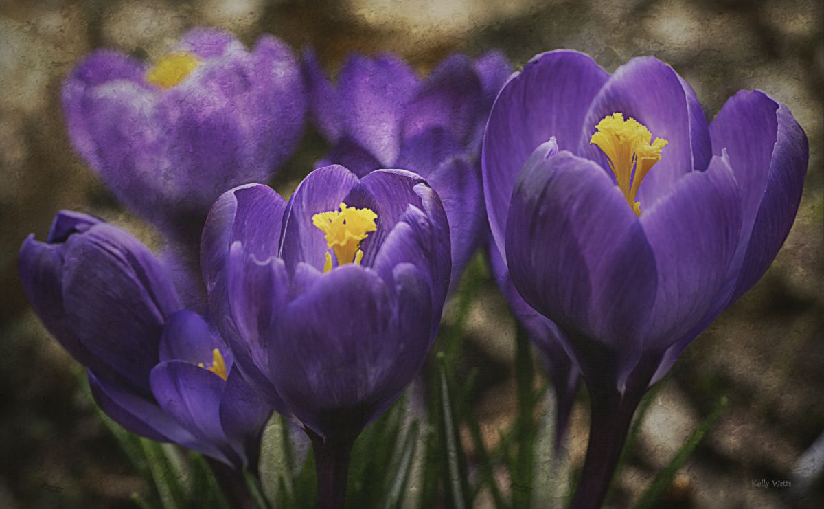 Croquis Doing their Best