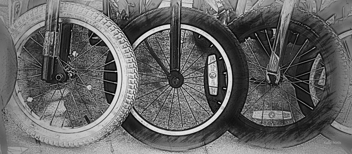 Tires Lined Up To Ride