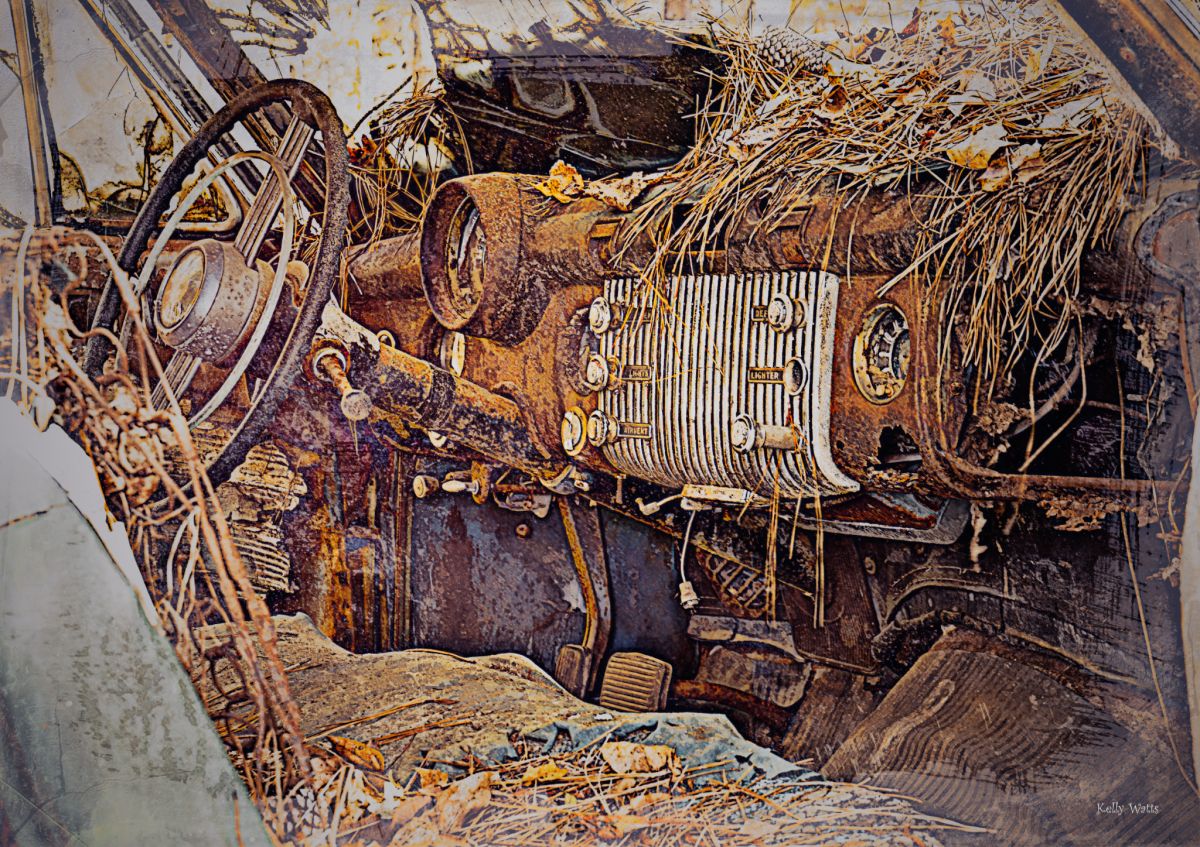 Vehicle Dash Ornaments