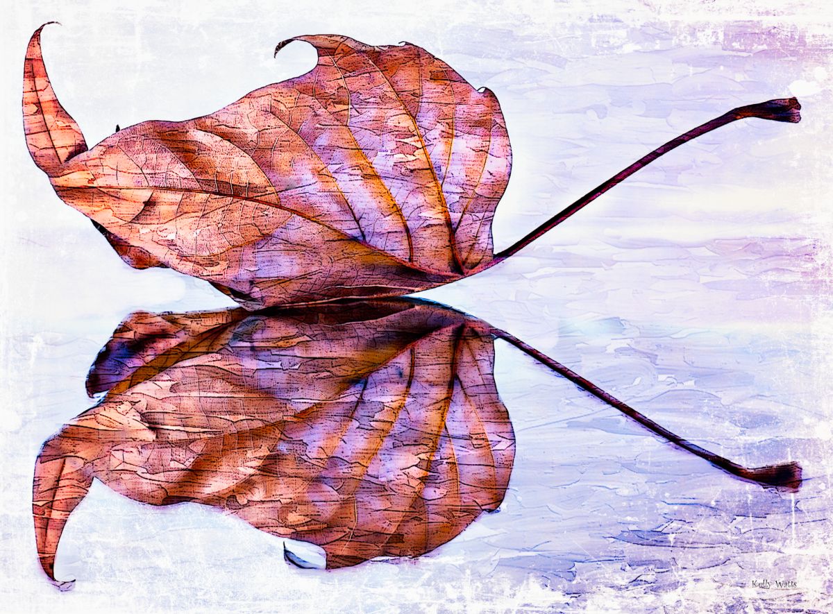 Mirrored Leaf