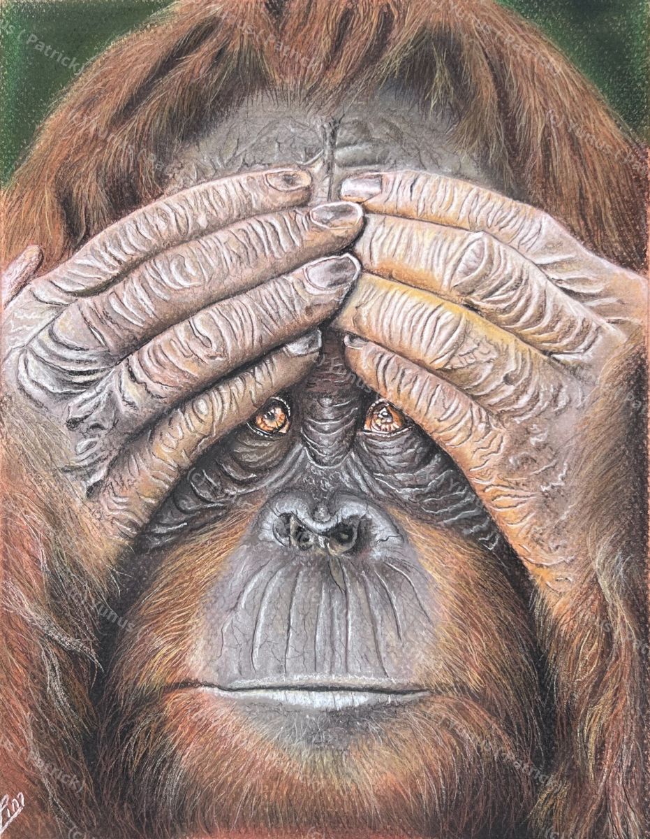 See no evil