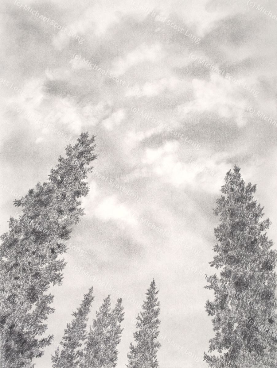 Overcast Day in Alaska