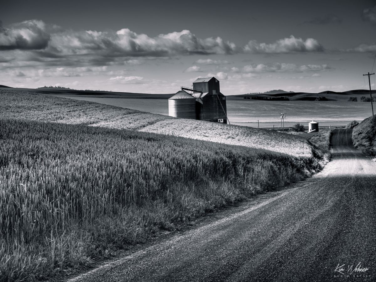 Road Through the Farmland