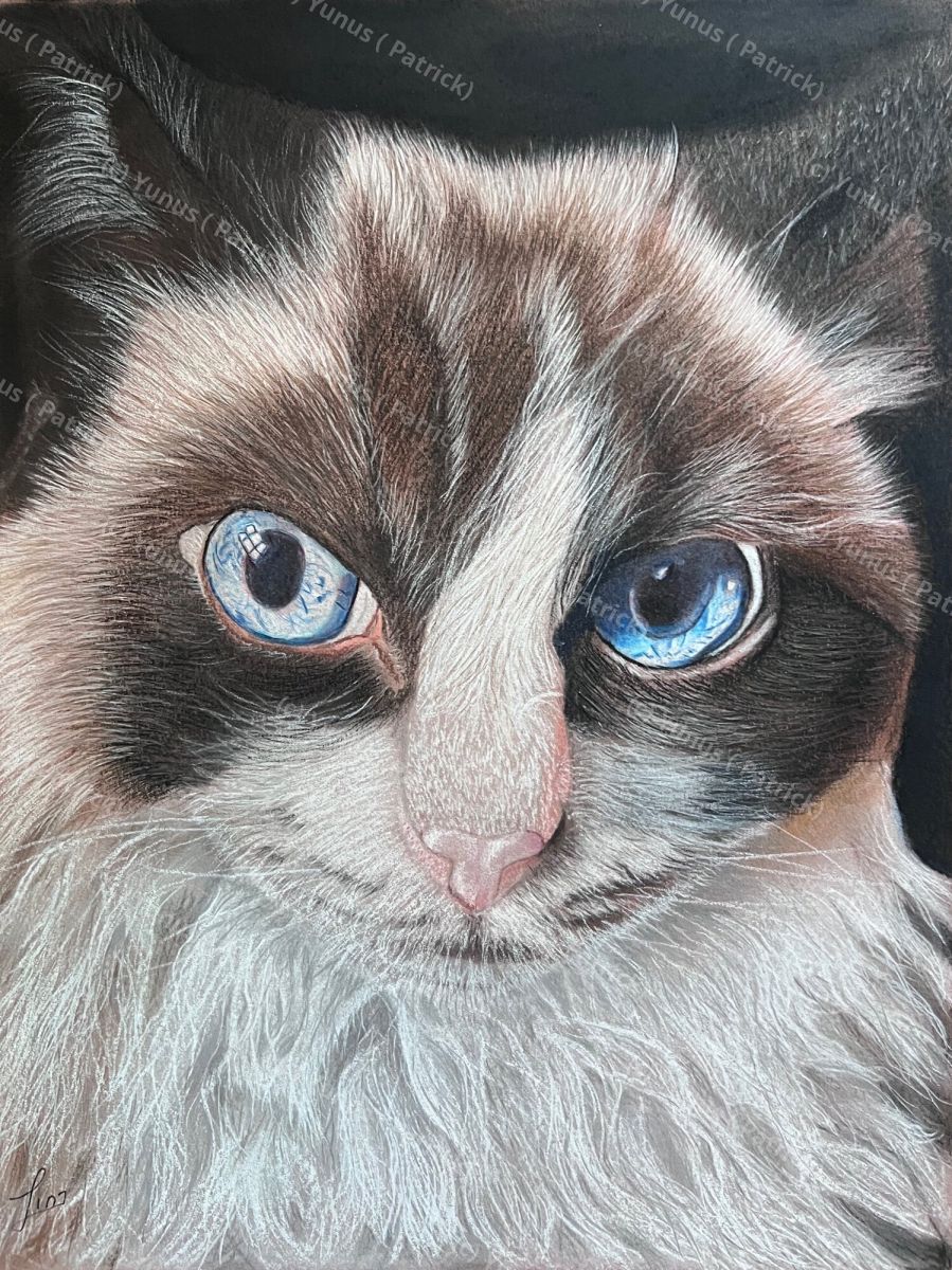 Blue Gaze