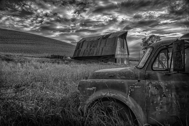 Wandering the Palouse (black/white)