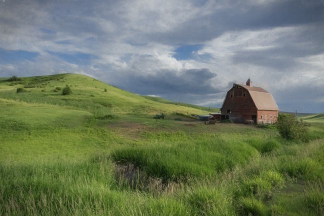 Palouse Farm