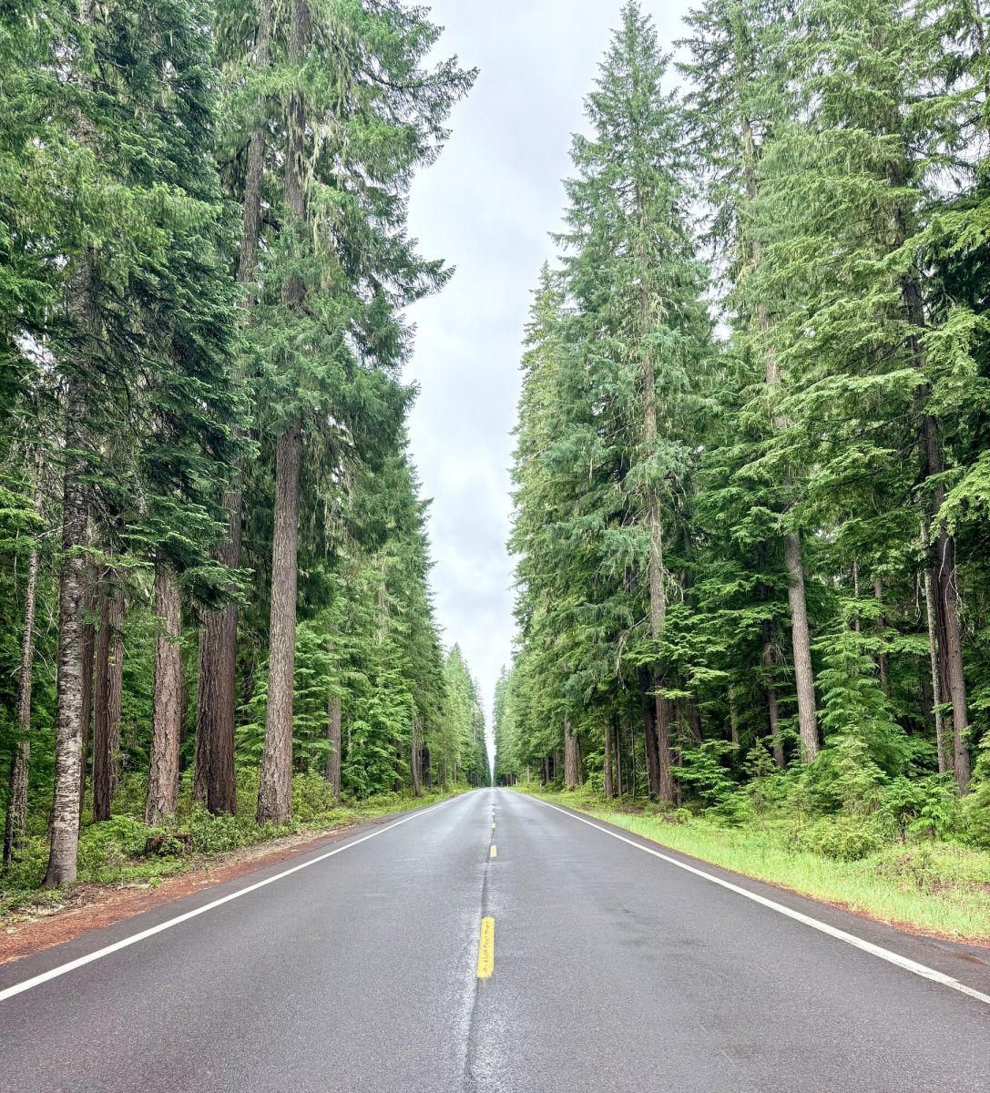On the Road