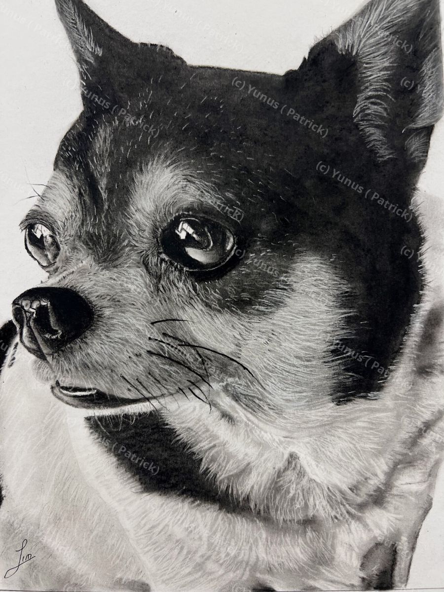 Charcoal & Pencil