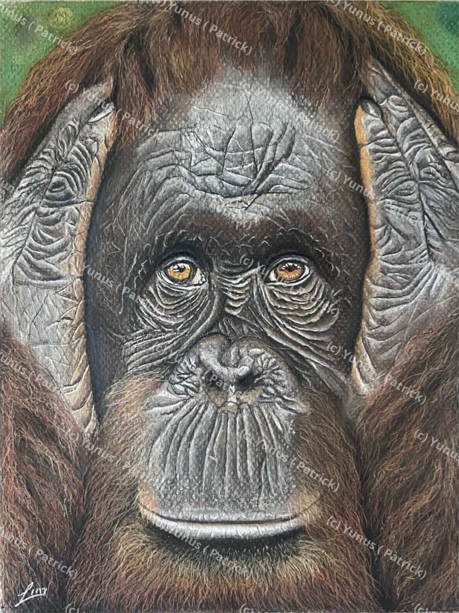 Hear no evil